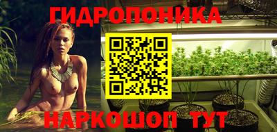 Альфа ПВП Кингисепп