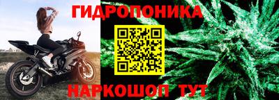Альфа ПВП Кингисепп