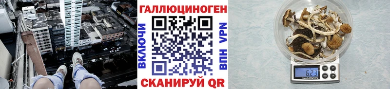 мориарти наркотические препараты  Евпатория  Псилоцибиновые грибы Cubensis 